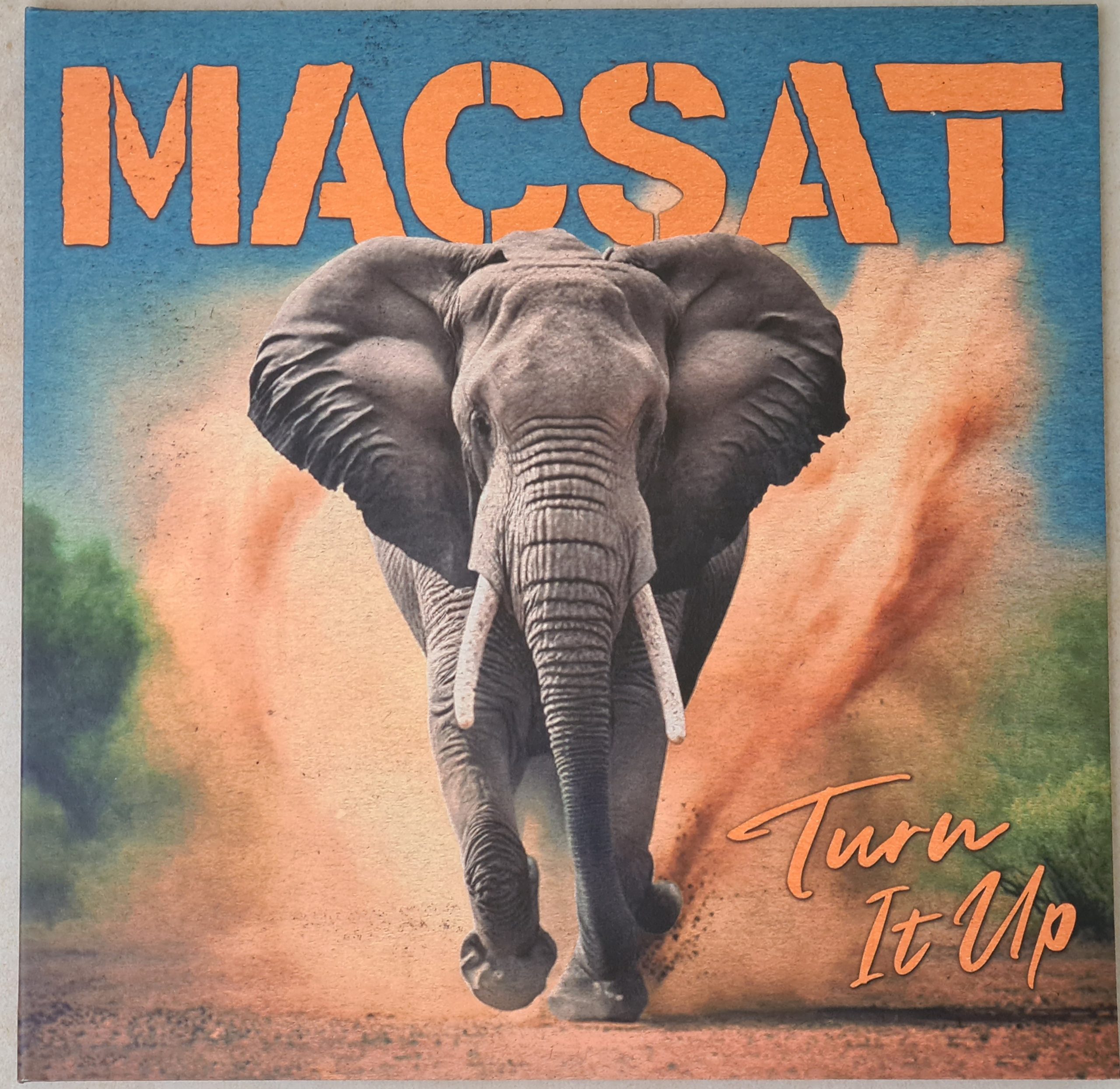 Macsat - Turn it up (LP)